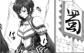 王異無惨 (真 三國無双)  无惨系列