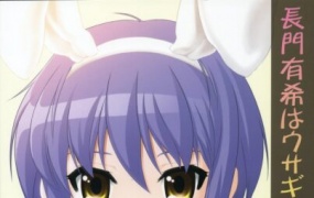 長門有希はウサギとカメの