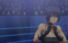 ファイティング オブ エクスタシー(全集)